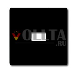 Busch-Jaeger 2120-35 коромысло, открытое для символа антрацит