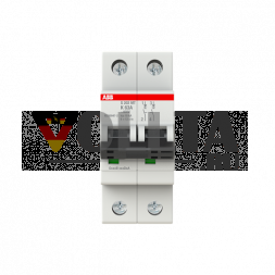 Автоматический выключатель ABB Stotz-Kontakt 2CDS272445R0607 S202MT-K63 K-Char.10kA 63A 2P